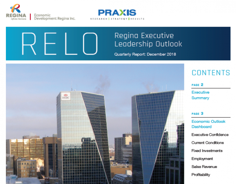 The end of 2018 observed a decline of the Executive Confidence Index; however, executive respondents remain resilient and positive for the year ahead. Read about it in the latest Regina Executive Leadership Outlook